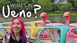 A Walk around Ueno, Tokyo - Ueno Park & Ameyokocho