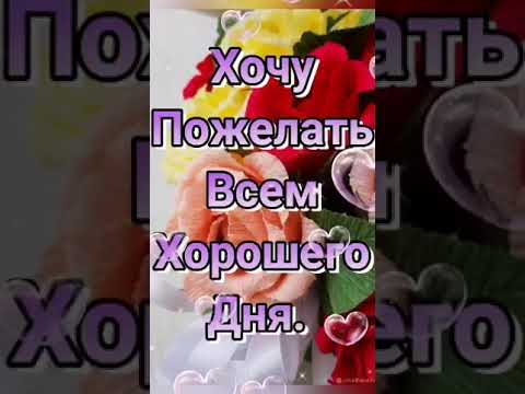 🥰 Хорошего дня. 🥰 Пожелание на день. 🥰 Хорошего дня 🥰 Музыкальная открытка.