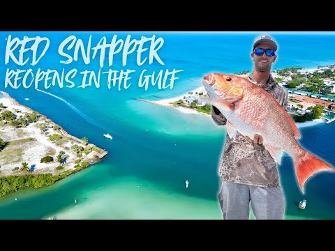 RED SNAPPER MADNESS FULL LIMITS | FALL FISHING IS THE BEST