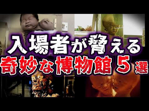 【ゆっくり解説】入場者が震えた!! 奇妙な博物館５選