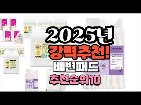 2025년 가장많이 팔릴 배변패드  추천 베스트10