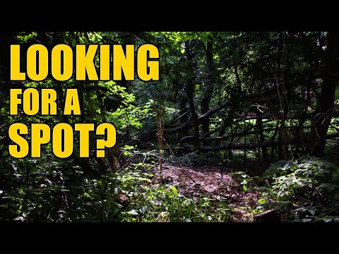 How to find a Guerilla Growing Spot