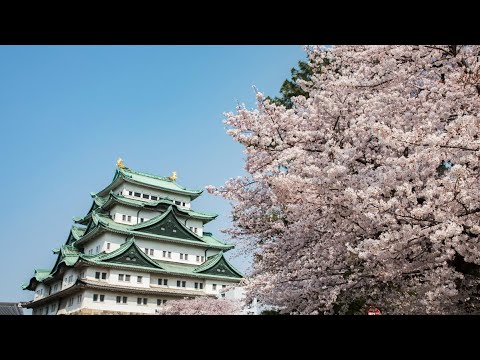 【Nagoya Castle】Time sightseeing until capsule hotel check-in