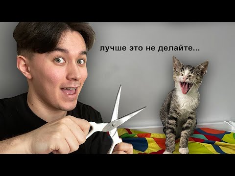 СТРИГУ КОГТИ СВОЕМУ КОТУ 🥵