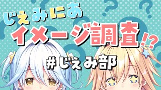 【 #じぇみ部 】デビュー１ヵ月イメージ調査【 #新人vtuber 】#じぇみにあ