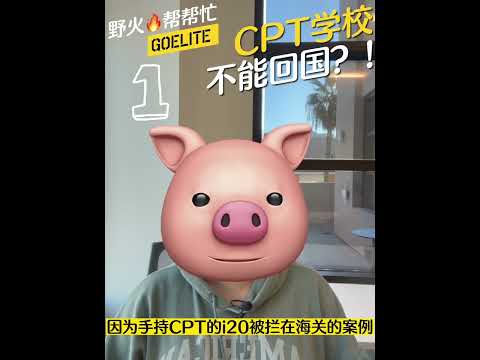 [1] cpt学校能不能回国？！ #美国签证 #h1b #绿卡 #cpt #icc #移民 #找工作