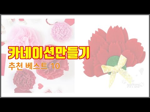 카네이션만들기 추천 실속 팔고 실속 사는 가격 대비 품질 좋은 상품 TOP 10