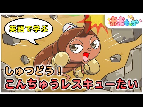 【英語で学ぶ】しゅつどう！こんちゅうレスキューたい  Let’s go! Insect Rescue Team｜絵本読み聞かせ