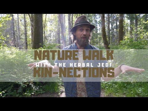 Nature Walk Kin-nections | Herbal Jedi