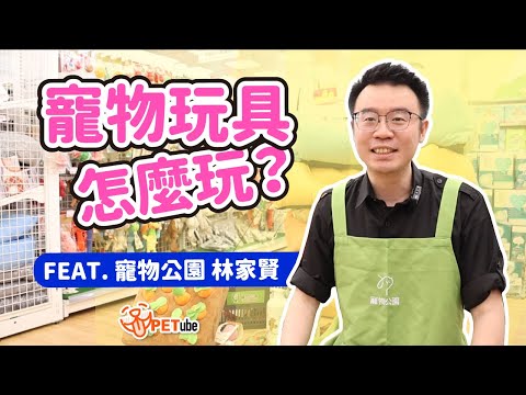 寵物玩具怎麼玩？Feat. 寵物公園 林家賢【寵物知識+】｜#哈寵PETube 第242集