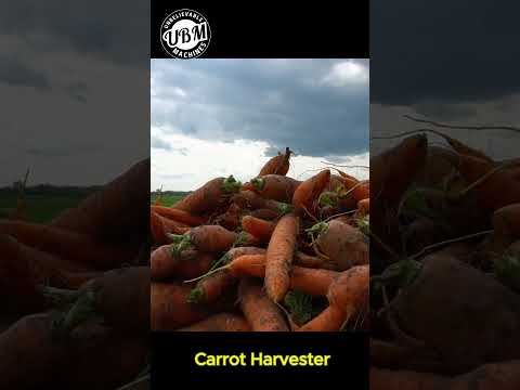 Carrot Harvester