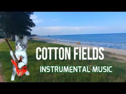 Cotton Fields (Guitar Eric Lyrics)