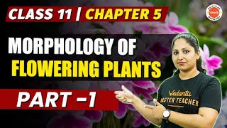 MORPHOLOGY OF FLOWERING PLANTS | Part 1 | Chapter 5 | PLUS ONE BIOLOGY | Vedantu Malayalam