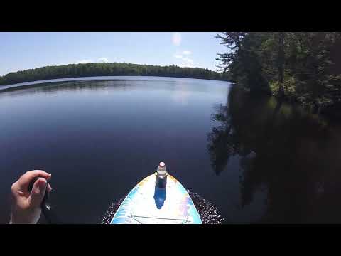 MAKING FRIENDS with a LOON!