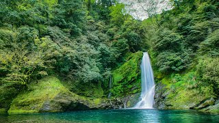 無廣告版 🎶 流水音樂 🎶 水聲音樂, 睡眠轻音乐, 白噪音, 睡眠音樂   輕柔鋼琴和大自然流水聲&鳥鳴聲 ☕ 讀書 & 專心 & 紓壓