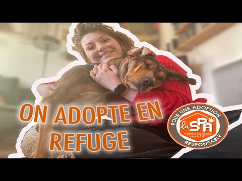 ADOPTER À LA SPA 🐶 - notre expérience