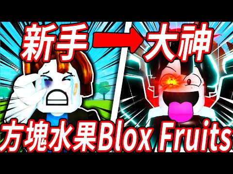 【Blox Fruits】Things that pro won’t tell you? !Rookie turn into a master! 【Roblox One Piece】【Roblox】