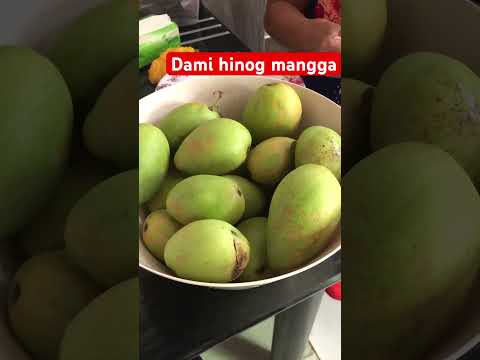 Dami hinog na mangga