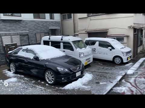 日本东京大雪一夜之后普通住宅区的景象