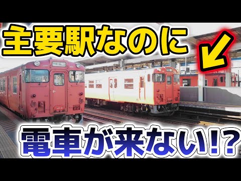 【電車が来ない!?】電化率0％の主要駅で撮影してきた!