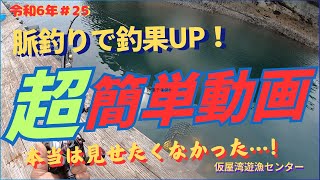 20241025　第25回釣行　仮屋湾遊漁センター　今日の釣りのテーマ『大人のSSPで真鯛を30匹釣る』大人のSSPは、youTube『まどか店長とつり』様の『爆釣ニンジン餌』がヒント‼