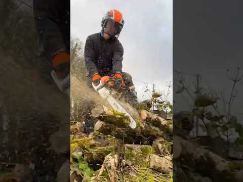 Watch STIHL's NEW MS400.1 Forestry Chainsaw Cutting HARD Wood