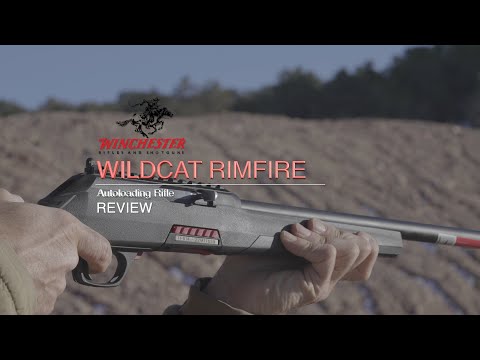 Winchester Wildcat Autoloading Rimfire Rifle Review