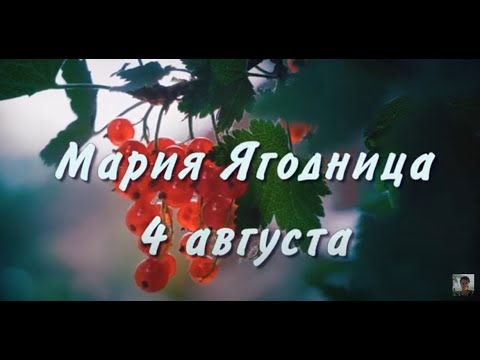 4 августа  День Марии Магдалины/Мария Ягодница|Что  нельзя делать/Народные традиции и приметы