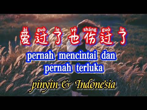 ai guo le ye shang guo le 过了也伤过了pernah mencintai dan pernah terluka Teks Indonesia & Pinyin