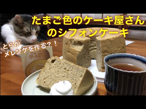 とらテンチョー／たまご色のケーキ屋さん