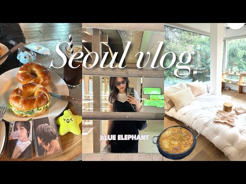 【Seoul vlog】2泊3日韓国旅行🇰🇷/聖水,ソウルの森,狎鴎亭ロデオ,江南,COEX/nctzen/社会人