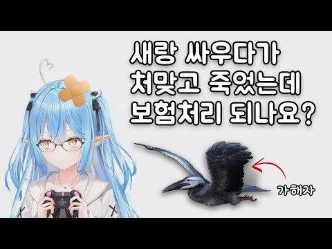 싸움 수준 실화냐... 가슴이 웅장해진다 [유키하나 라미]