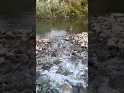 Micro lure fishing in 109 degrees‼️ #fishing #bassfishing #california #microfishing #bass