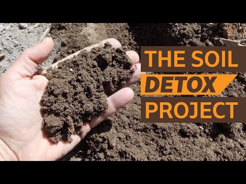 2024 06 10 Soil Detox Project Intro