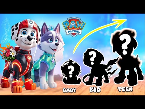 PAW Patrol Mighty Pups Growing Up Compilation | Cartoon Wow