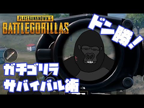 本物のゴリラがPUBGをプレイするとこうなります。【PUBG mobile】