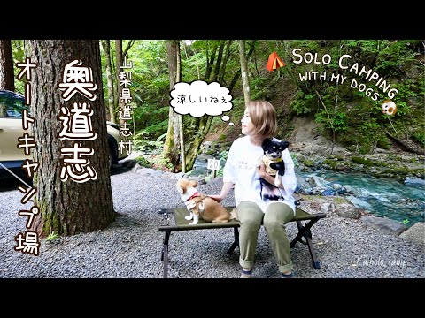 【50代女子ソロキャンプ】久しぶりにヤリスクロスでソロキャンプ｜奥道志オートキャンプ場｜EcoFlow DELTA 3 Plus｜Solo camping with my dogs, Vlog［48］