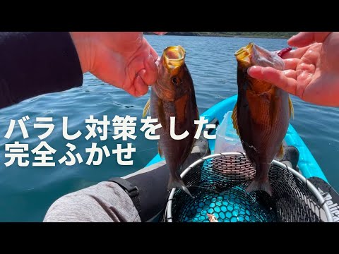 竿もリールも針も変えたタックルで完全ふかせしたらイサキをバラさず釣る事できた