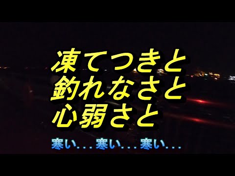 【神奈川釣り】凍てつきと釣れなさと心弱さと