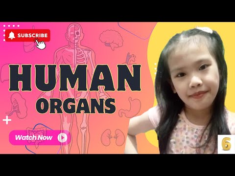 HUMAN BODY | HUMAN ORGANS | Q & A with Mommy and Ate Pfeiffer