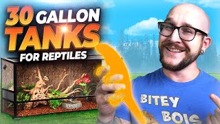 Reptiles YOU DIDN’T KNOW Could Live in a 30 Gallon Enclosure FOREVER!