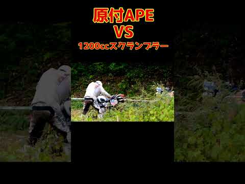 「排気量頂上決戦」原付APEと1200ccの大型バイクがやりあう#オフロードバイク #ハードエンデューロ #shorts