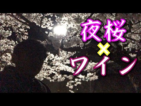 深夜に花見ゲリラLive一緒にワインあけるか！