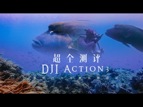 DJI Osmo Action3 Assessment and Quality Test! The underwater world of the Great Barrier Reef.