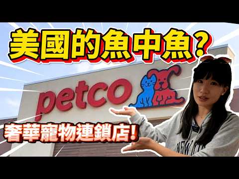 【藍箱水族】開箱美國魚中魚?!PETCO奢華寵物連鎖店~居然還有寵物Uber?自助洗寵物區?