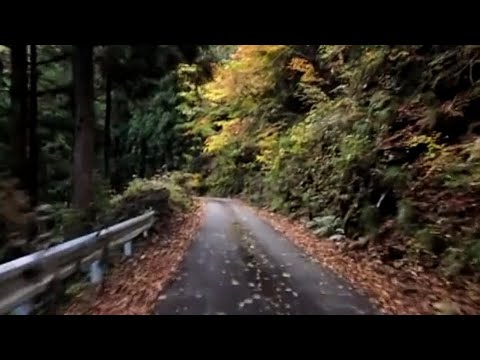 瀞川・氷ノ山林道(鵜縄→県道87号)@221106_1507-1