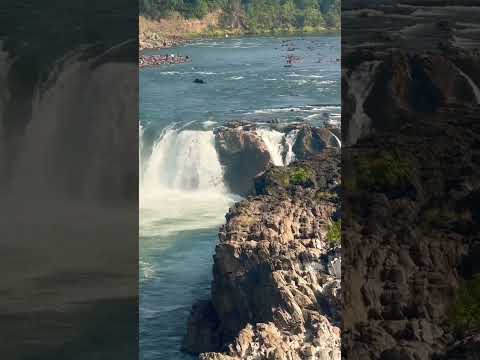 Over the falls #madhyapradesh #travel #dhuandharfalls