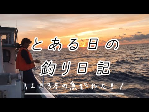 【vlog】とある日の釣り。対馬の海はすごい