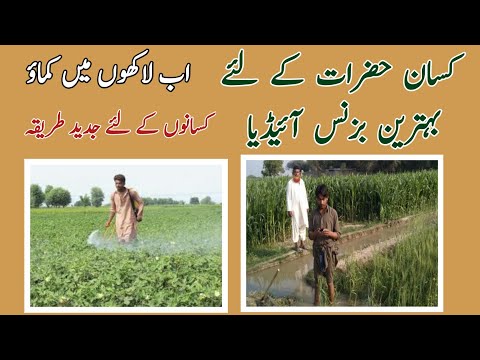 Zarat Ki Services | Agriculture Business Ideas 2023 | Farming Business Ideas | wattoo tech