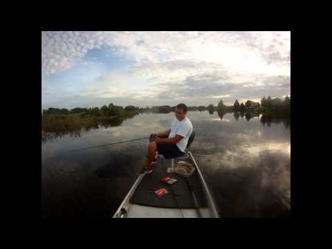 Largemouth Bass Fishing with Buzzin-Gators and Swimbaits